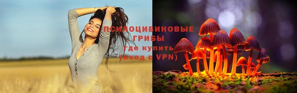 первитин Богородск