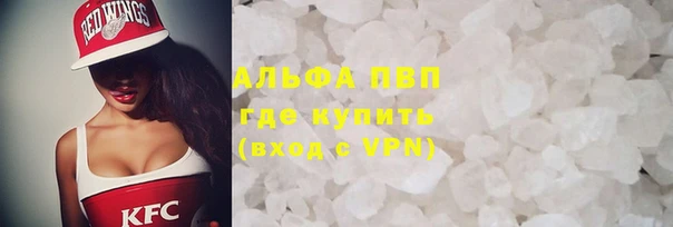 трава Белокуриха