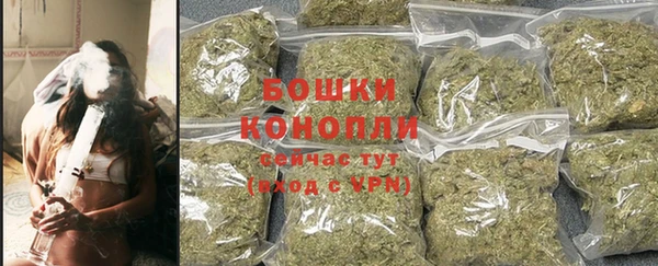 трава Белокуриха