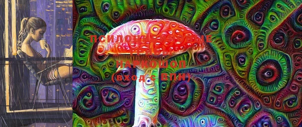 трава Белокуриха
