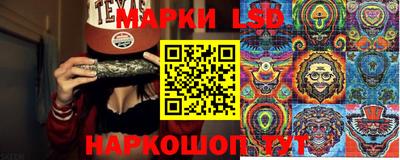 молекула духа Будённовск