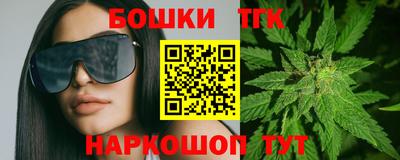 молекула духа Будённовск
