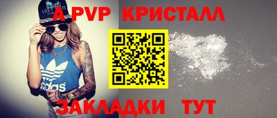 молекула духа Будённовск