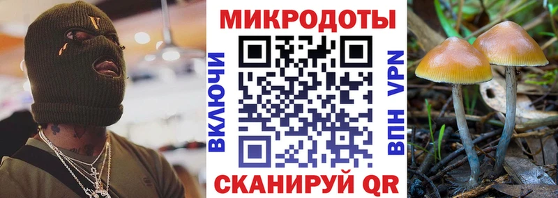 Псилоцибиновые грибы мухоморы  где найти   кракен онион  Видное 
