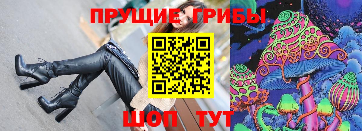 Псилоцибиновые грибы Psilocybe Видное