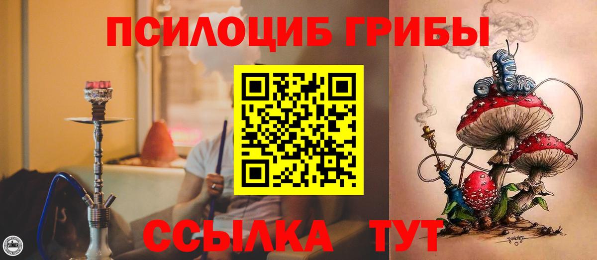 Видное  наркота  Вход с VPN  Галлюциногенные грибы прущие грибы 